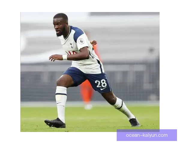 达姆斯高技术特点值得关注，灵活的传球能力与出色的控球技巧引人瞩目。